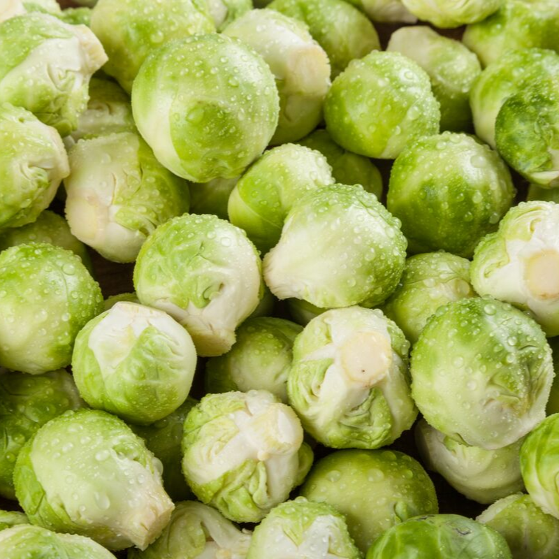 Vegetarian Harvest Falling for Brussels Sprouts